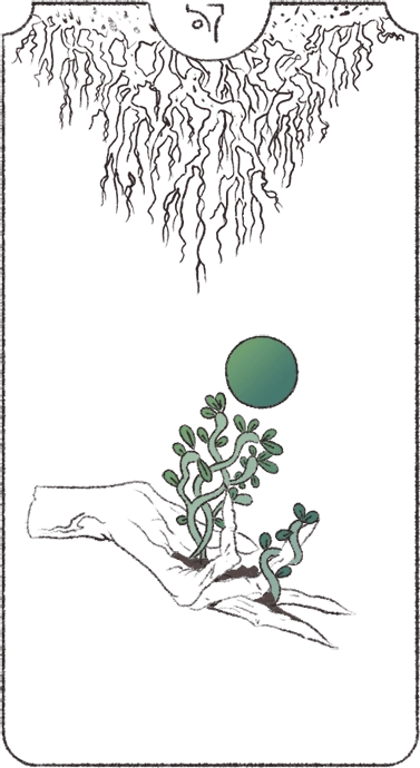 jan card