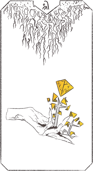 jan card