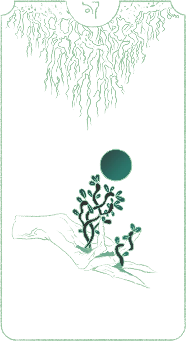 jan card