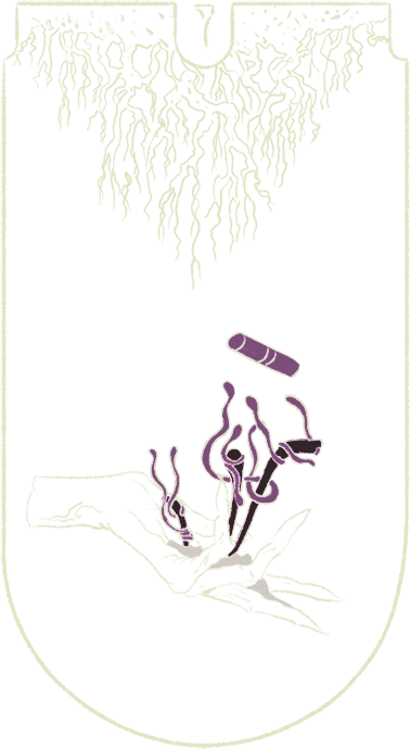 jan card